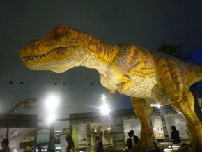 恐竜博物館へ行かれたお客様に「恐竜ミニチュア」プレゼント!　　　　