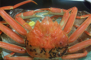 越前カニ料理を高級店よりリーズナブルに