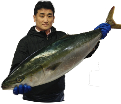 新鮮な魚を山根屋亭主が新鮮で美味しい状態のお料理をご提供!