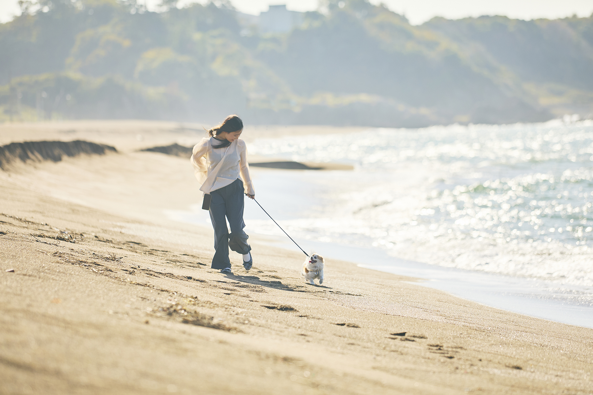 ドッグフレンドリールーム離れ